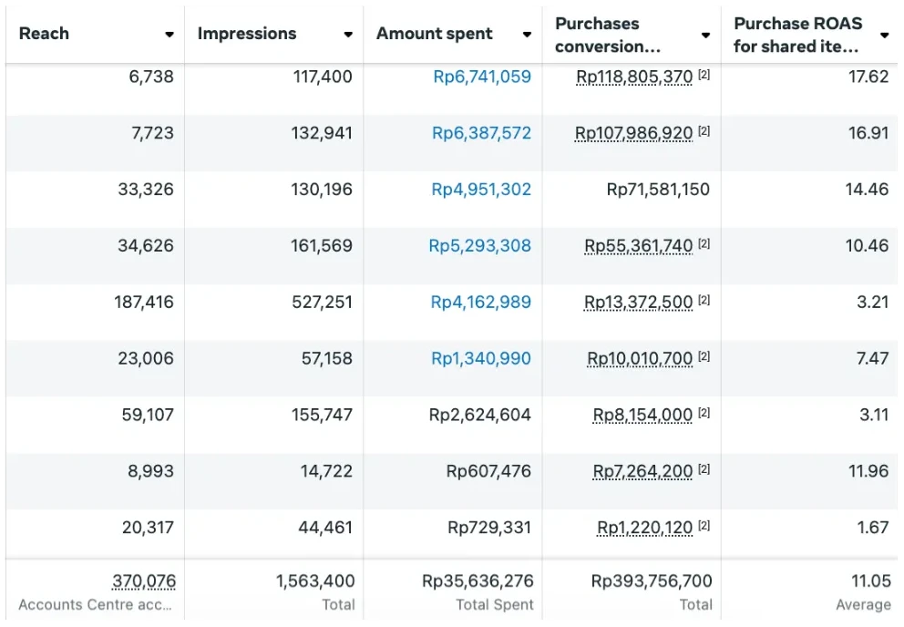 Bisnis Fashion, mencapai ROAS   (Omset balik dari biaya iklan) sebesar 11 X